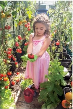 Bigjigs Gartenarbeitshandschuhe - Baumwolle -Kinder Outdoor Verkauf bigjigs gartenarbeitshandschuhe baumwolle 3