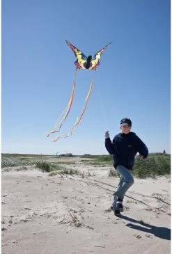 Butterfly Kite Swallowtail ""R"" -Kinder Outdoor Verkauf butterfly kite swallowtail quot quot r quot quot 3