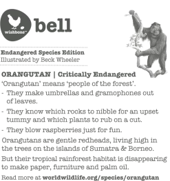 Wishbone Red Orangutan Bell -Kinder Outdoor Verkauf wishbone red orangutan bell 3